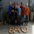 Bau1617