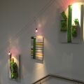 Img 6340